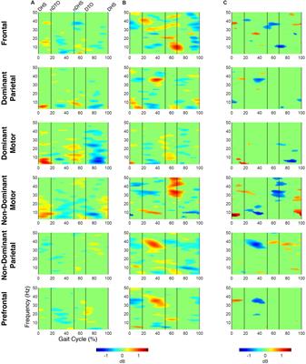 Children With Unilateral Cerebral Palsy Utilize More Cortical Resources for Similar Motor Output During Treadmill Gait